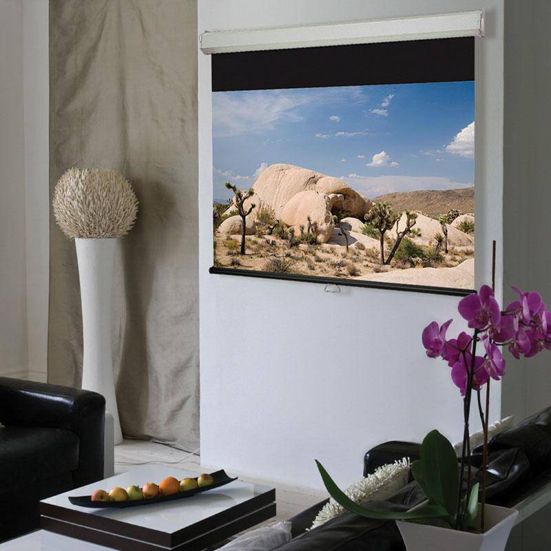 draper pull down projector screen