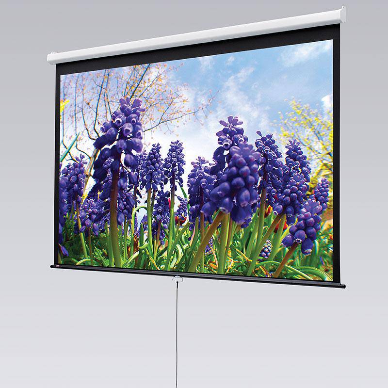 draper pull down projector screen