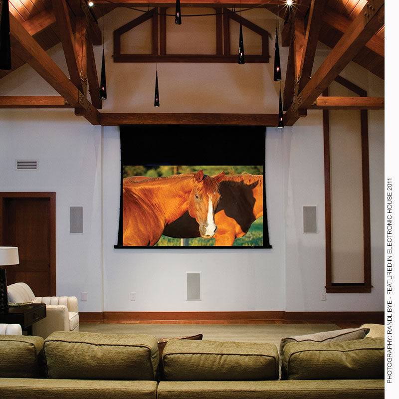 Draper Access V, 100", NTSC, CineFlex White XT700V, 110 V, with LVC-IV Low Voltage Controller