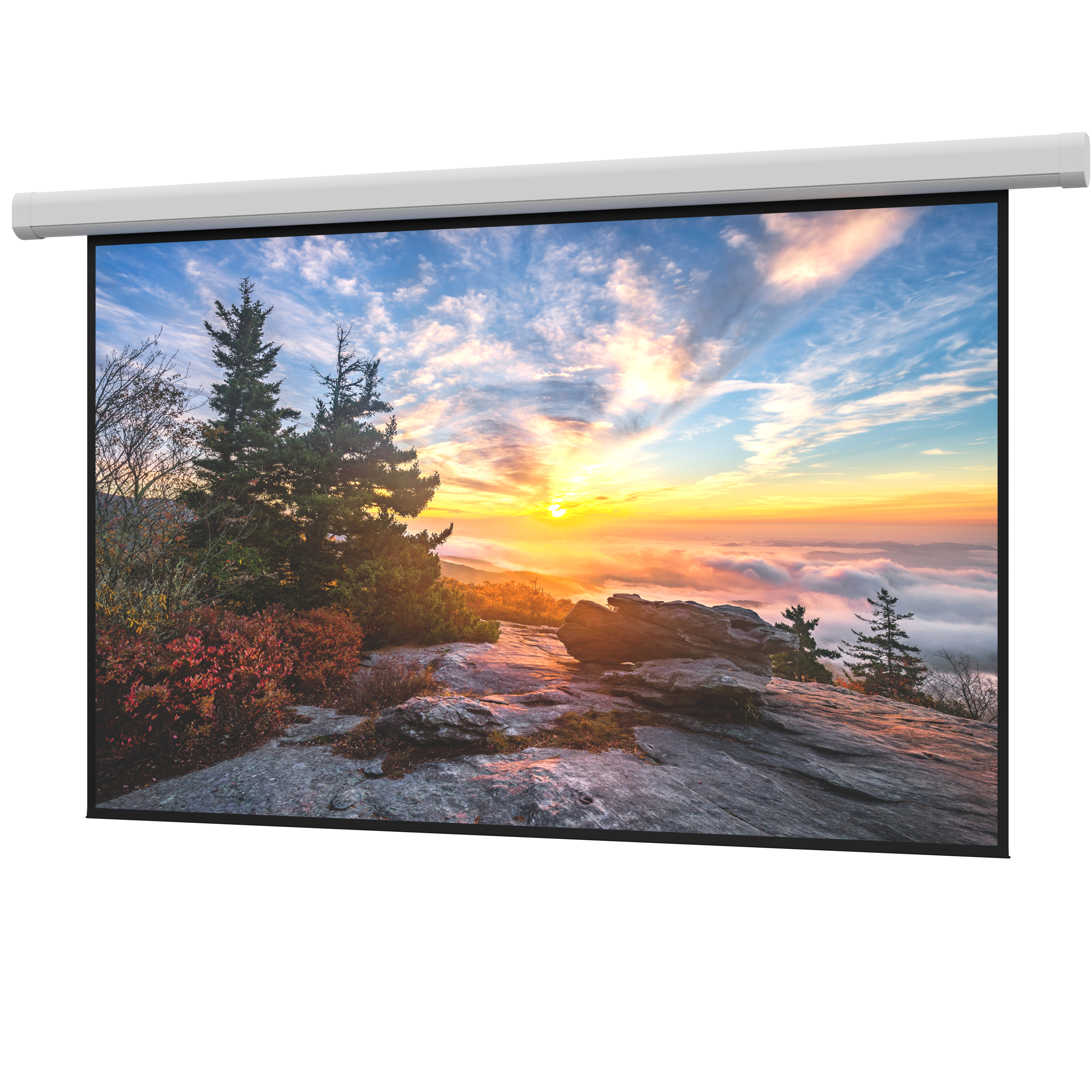 Da-Lite Myriad Tensioned Reveal SightLine Cable Drop 193" Diag. 16:9 Parallax Stratos 1.0 Electric Projector Screen