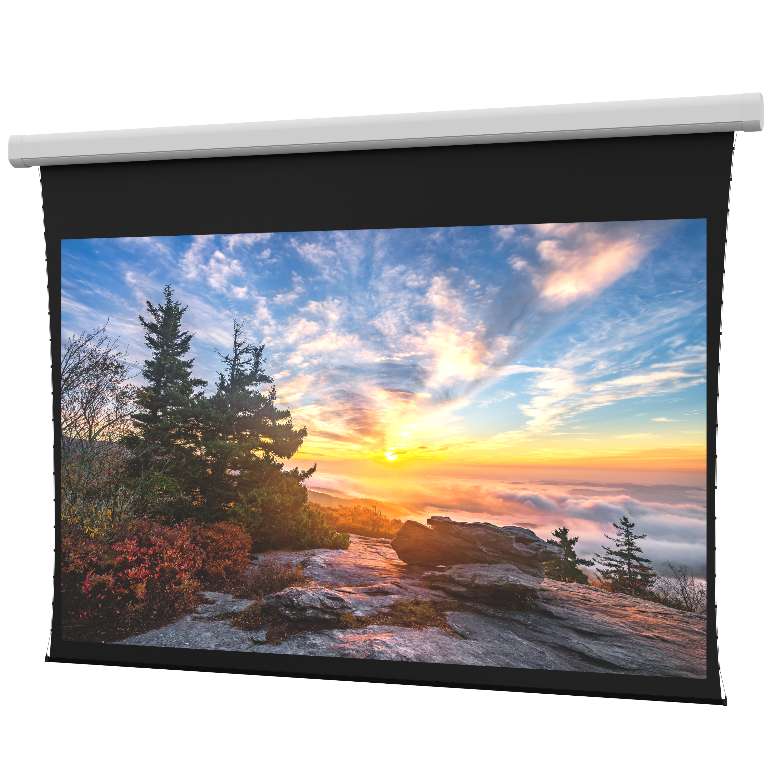 Da-Lite Myriad Tensioned Reveal SightLine Cable Drop 193" Diag. 16:9 Parallax Stratos 1.0 Electric Projector Screen