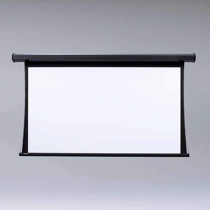 Draper Premier Electric Screen